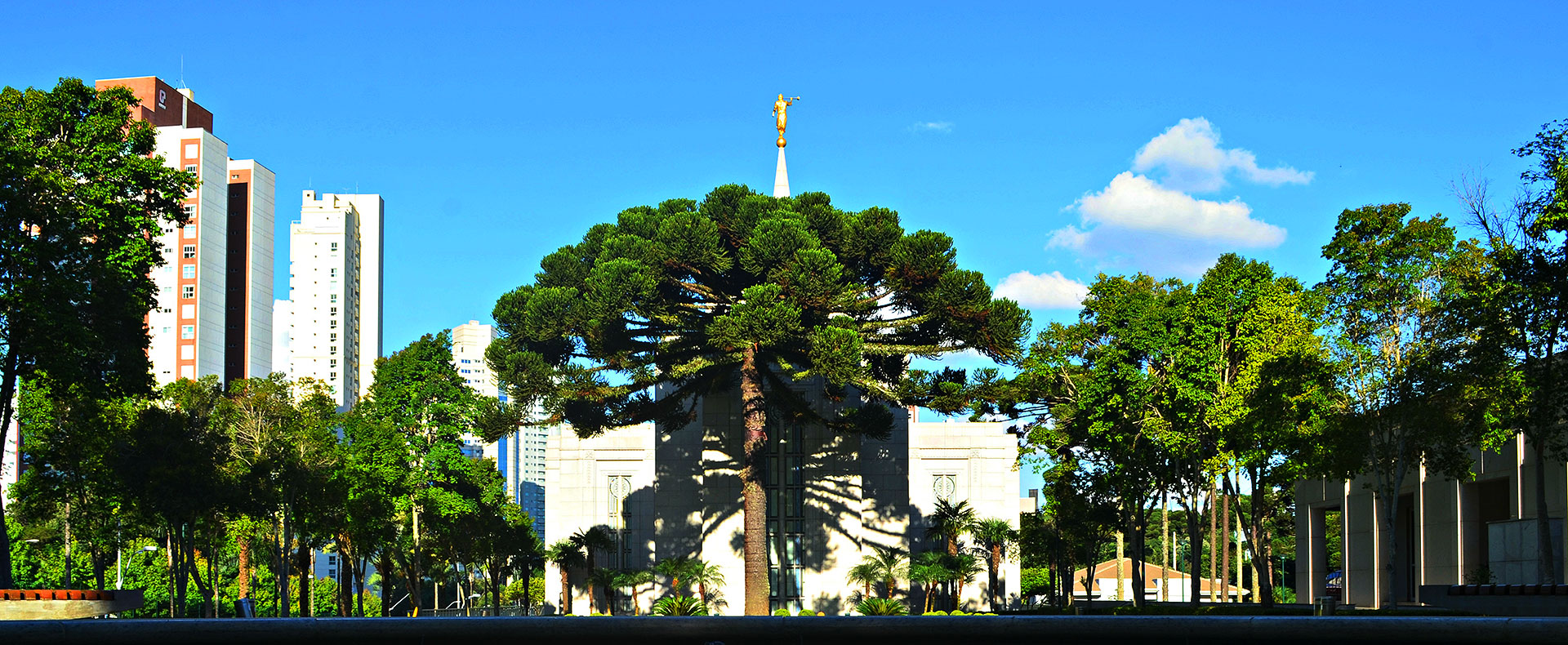 Curitiba Brazil Temple