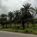 Eket Nigeria Temple
