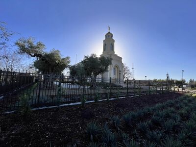 Feather River California Temple Photograph Gallery ...