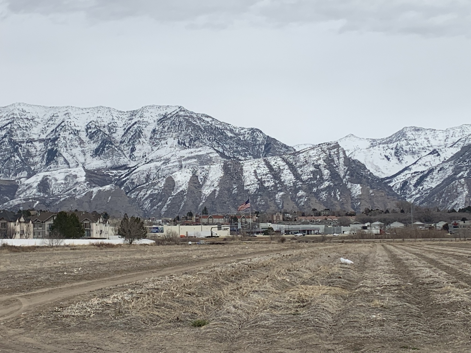 Orem Utah Temple Photograph Gallery | ChurchofJesusChristTemples.org