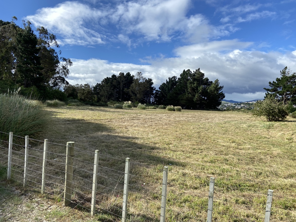 Wellington New Zealand Temple Photograph Gallery